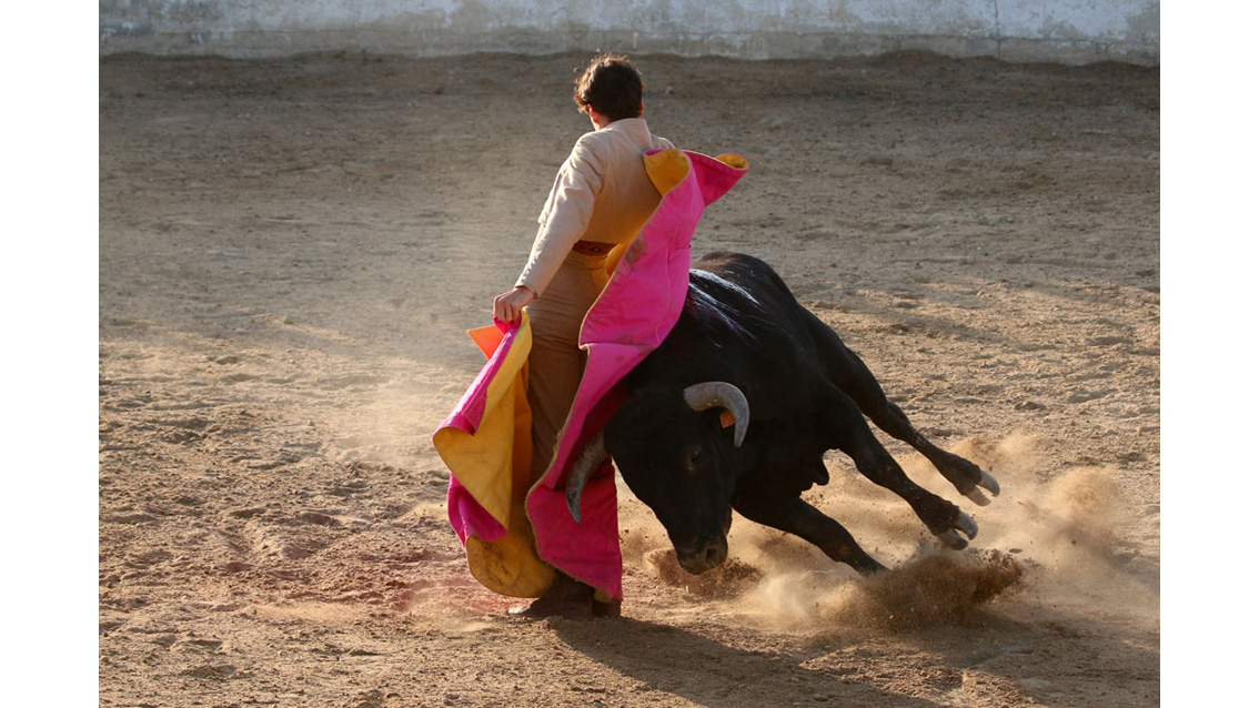 Une belle soirée à la Ganaderia du Scamandre
