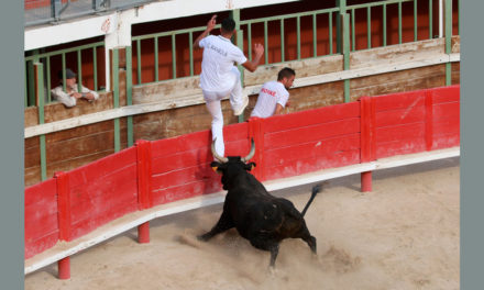 19éme Trophée des Vignerons : Une course très intéressante