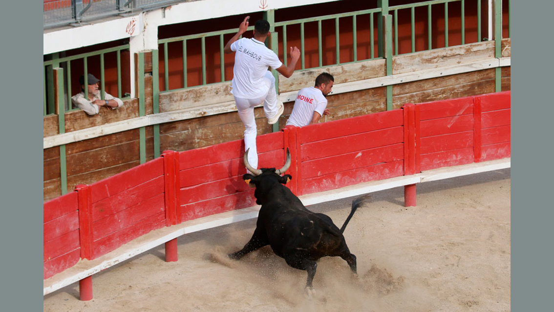 19éme Trophée des Vignerons : Une course très intéressante