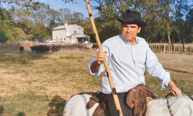 Rencontre avec le manadier Jean-Élie Agnel aux Hourtès, lieu emblématique de Petite Camargue