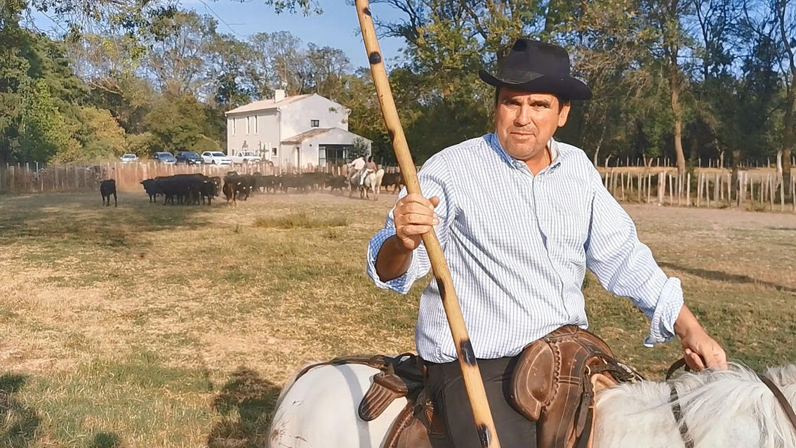 Rencontre avec le manadier Jean-Élie Agnel aux Hourtès, lieu emblématique de Petite Camargue