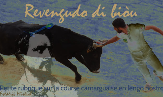 REVENGUDO DI BIÒU : PETITE RUBRIQUE TAURINE EN LANGUE PROVENÇALE