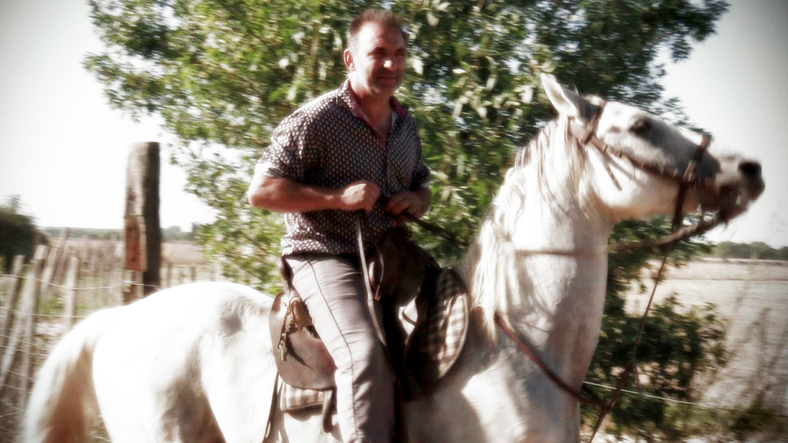 La manade Félix fête son anniversaire pendant la fête de Vauvert