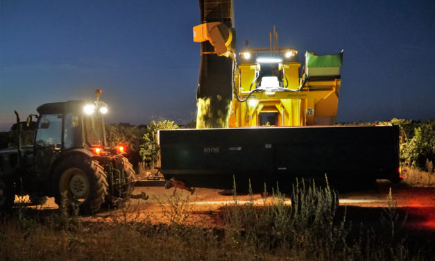 Vendanges en COSTIÈRES ,un terroir de galets roulés.