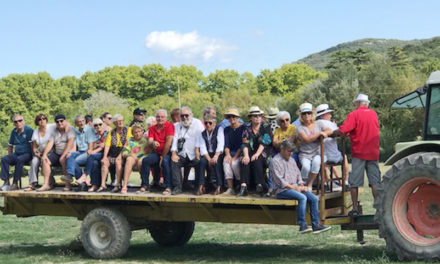 El Campo chez Barcelo