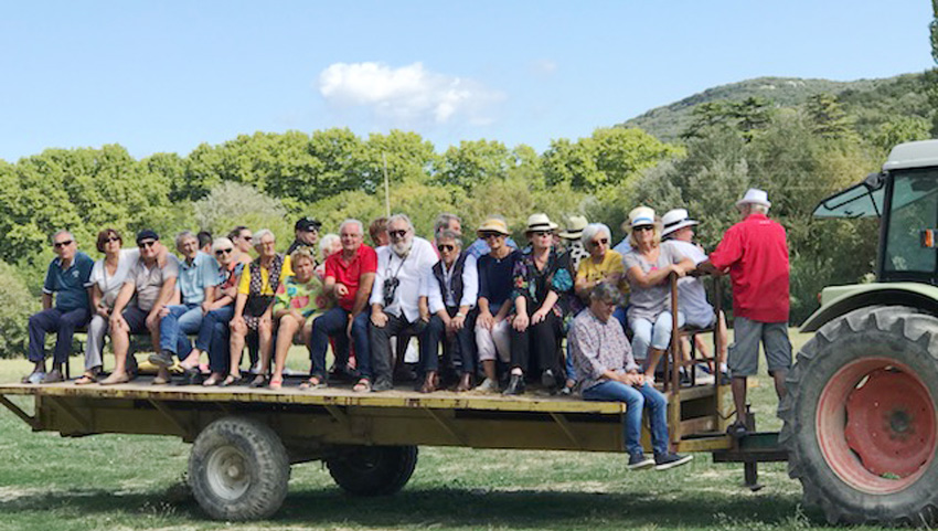 El Campo chez Barcelo