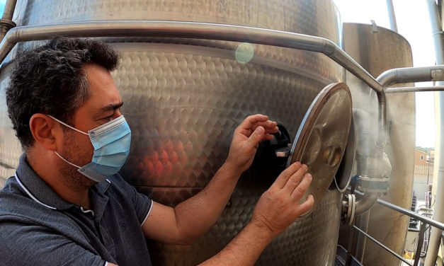 La cave de Gallician se dirige vers une certification Haute Valeur Environnementale