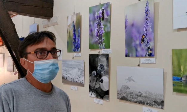Une belle exposition de photographies à découvrir au Scamandre