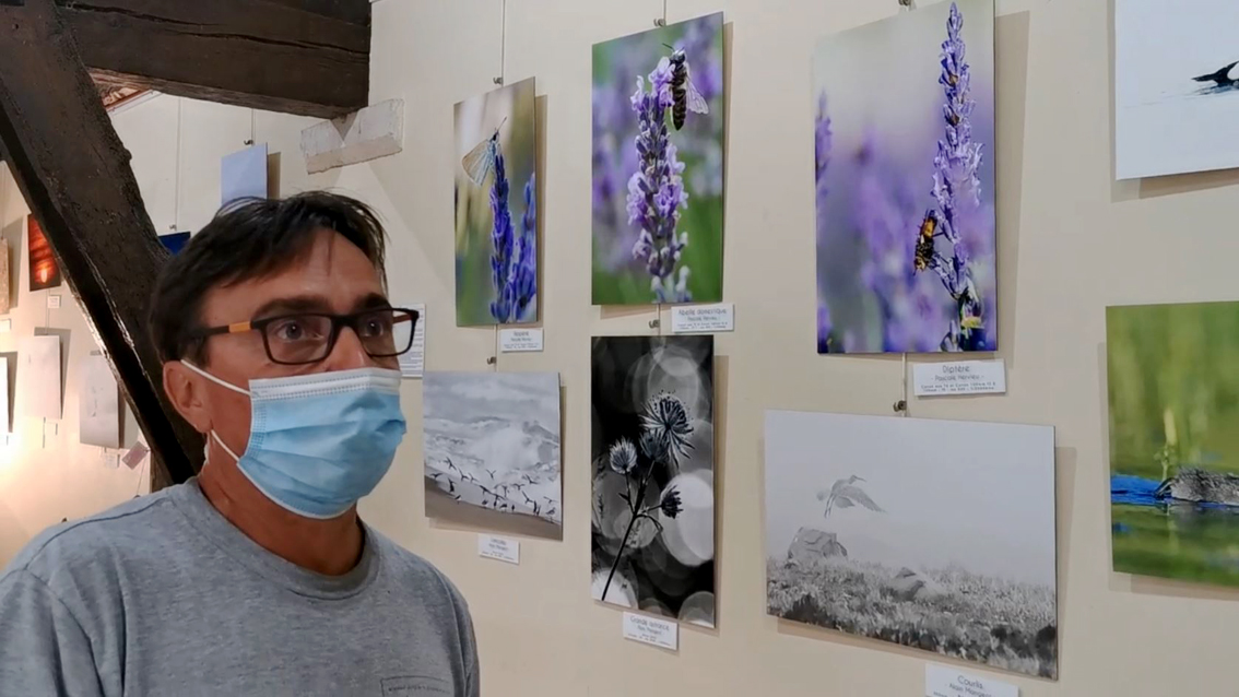 Une belle exposition de photographies à découvrir au Scamandre