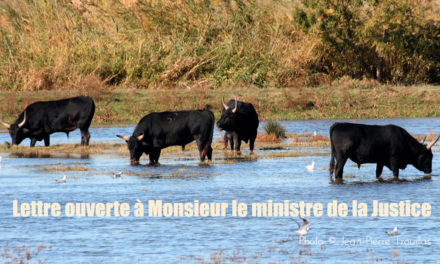 Ici, comme ailleurs… l’incitation à la haine est un délit