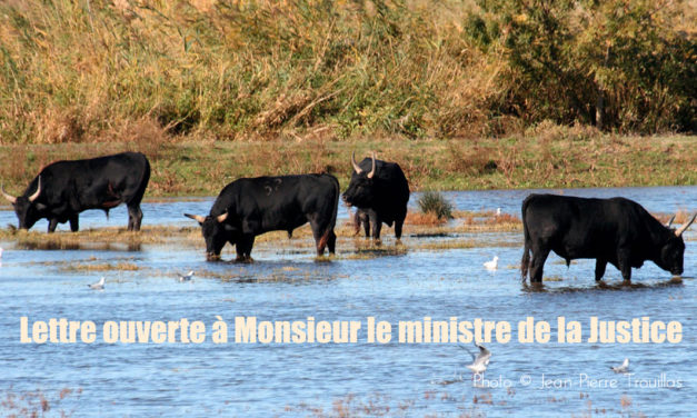 Ici, comme ailleurs… l’incitation à la haine est un délit