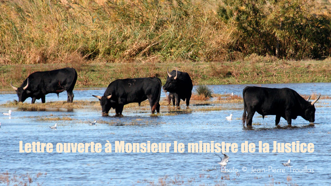 Ici, comme ailleurs… l’incitation à la haine est un délit