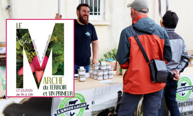 Découverte de producteurs et créateurs au Domaine du Vistre