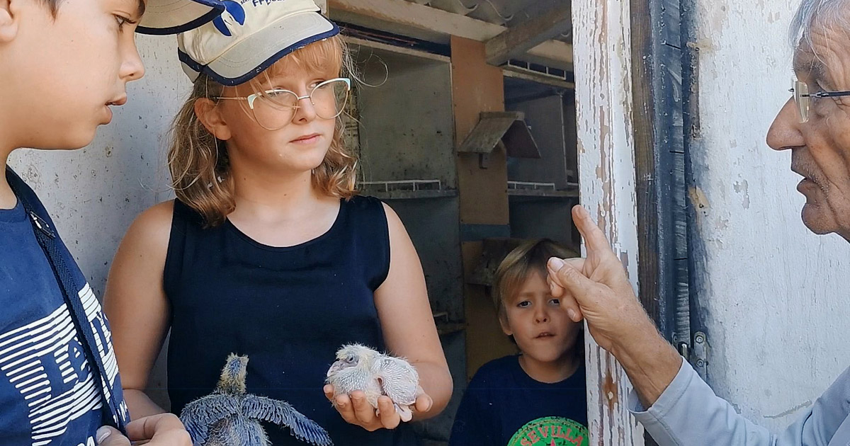 Les ados découvrent avec passion la colombophilie