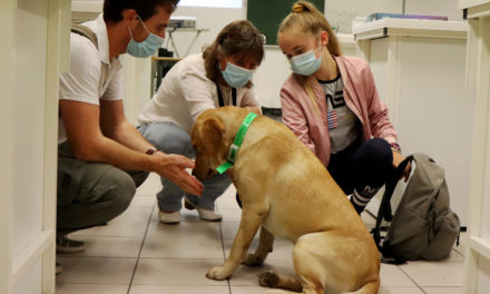 La médiation par le chien en phase d’expérimentation au collège de Vauvert