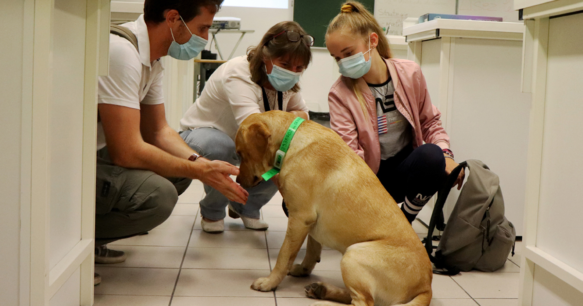La médiation par le chien en phase d’expérimentation au collège de Vauvert