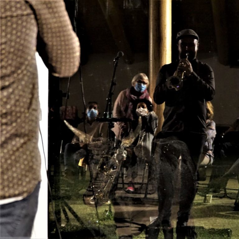 Le taureau mélomane de la manade de Franquevaux