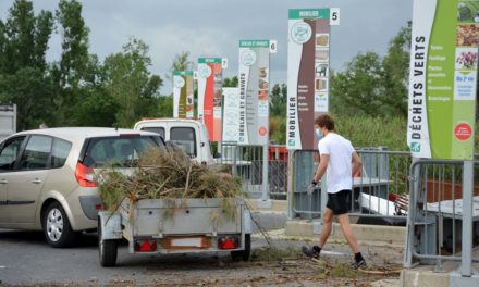 Coronavirus : L’ensemble des services publics en Petite Camargue est maintenu