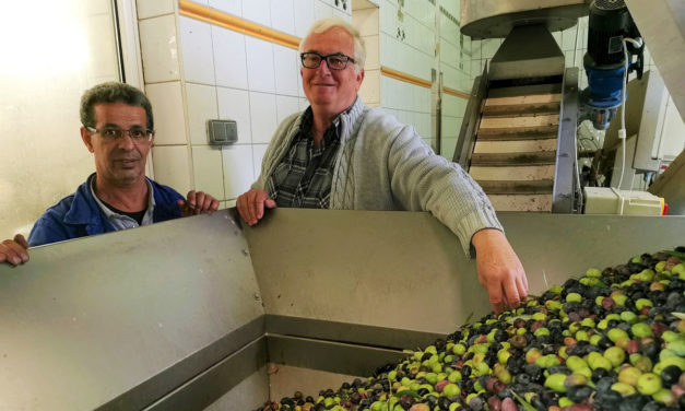 Le moulin des Bouviers est ouvert !