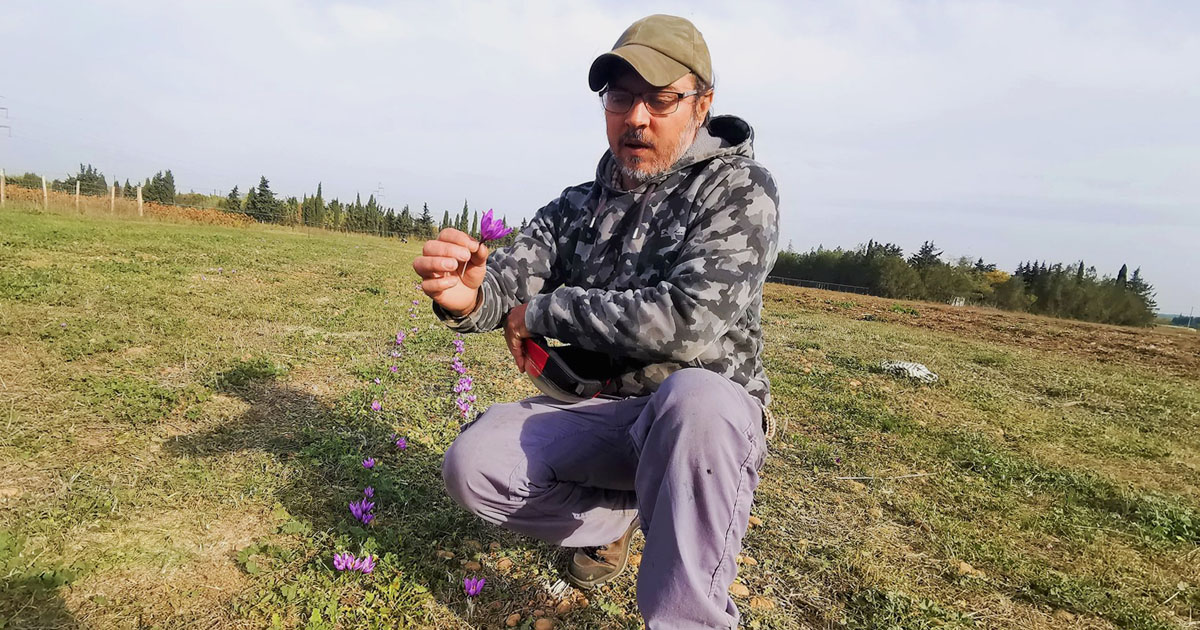 L’or rouge de Ludovic Issoglio