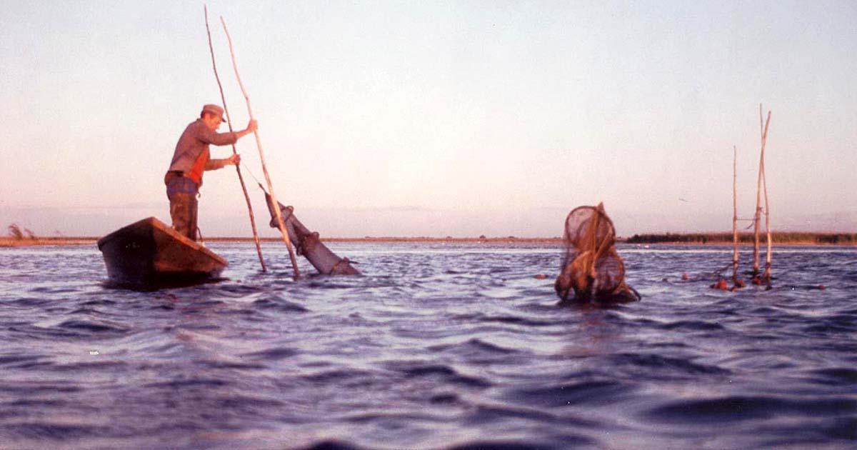 Les Montel : Cinq générations de pêcheurs à Gallician