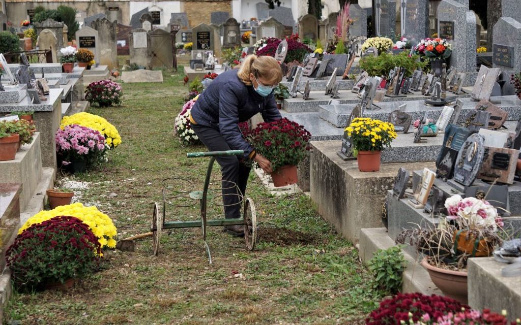 La toussaint fleurit les allées du cimetière.