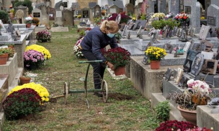 La toussaint fleurit les allées du cimetière.