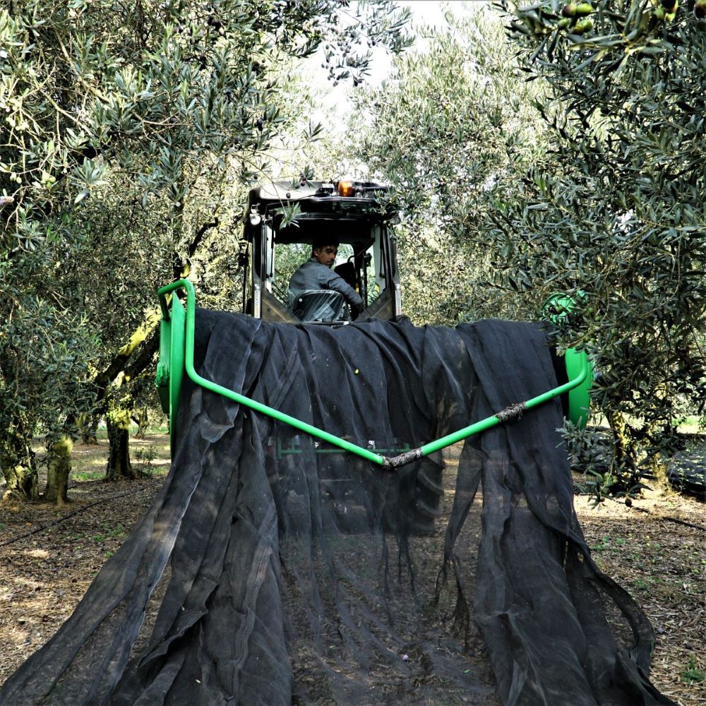 Pose du filet de réception