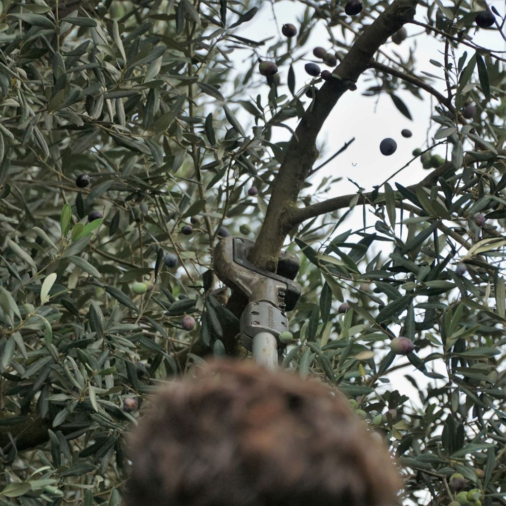 Vibreur thermique en action