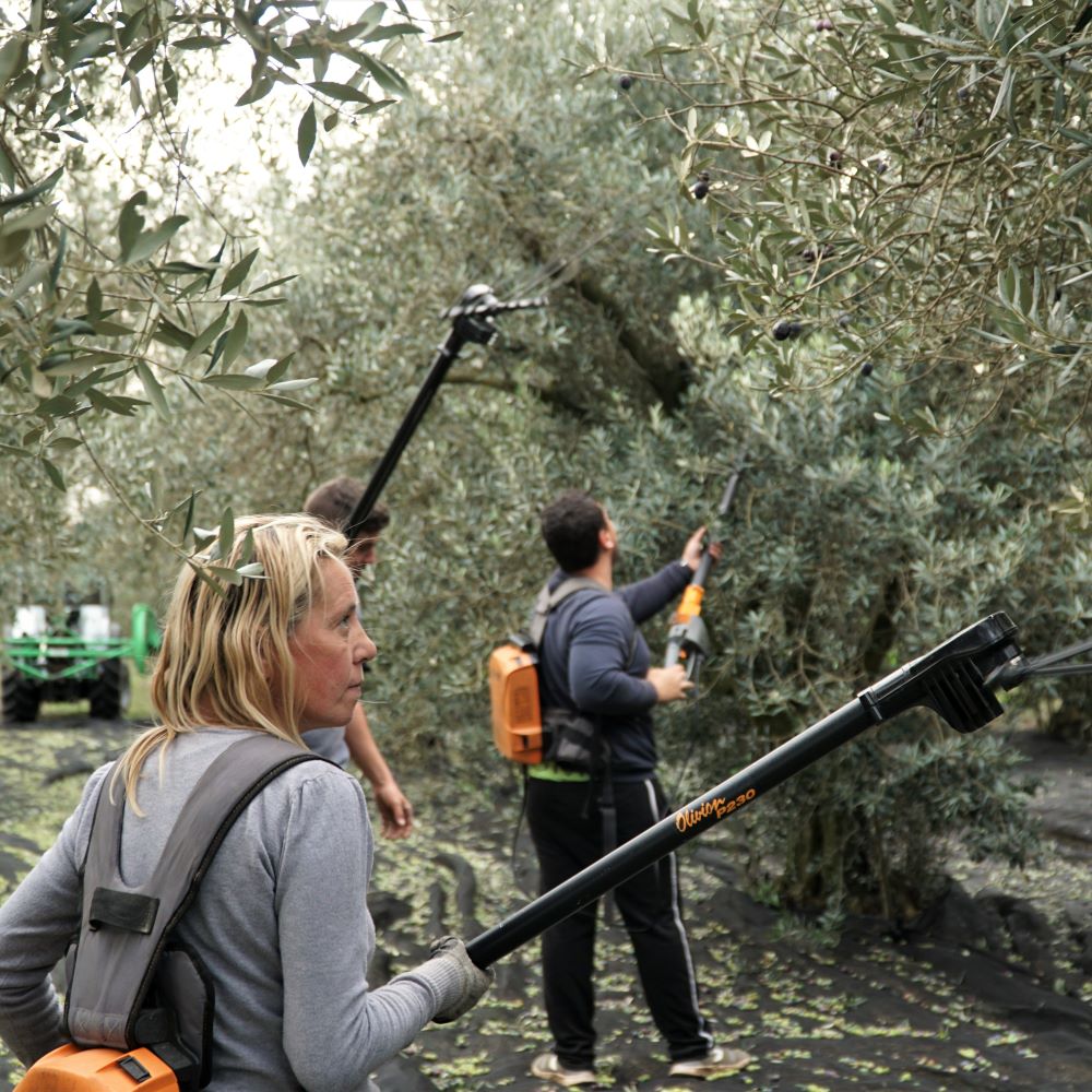 Finition au peigne électrique