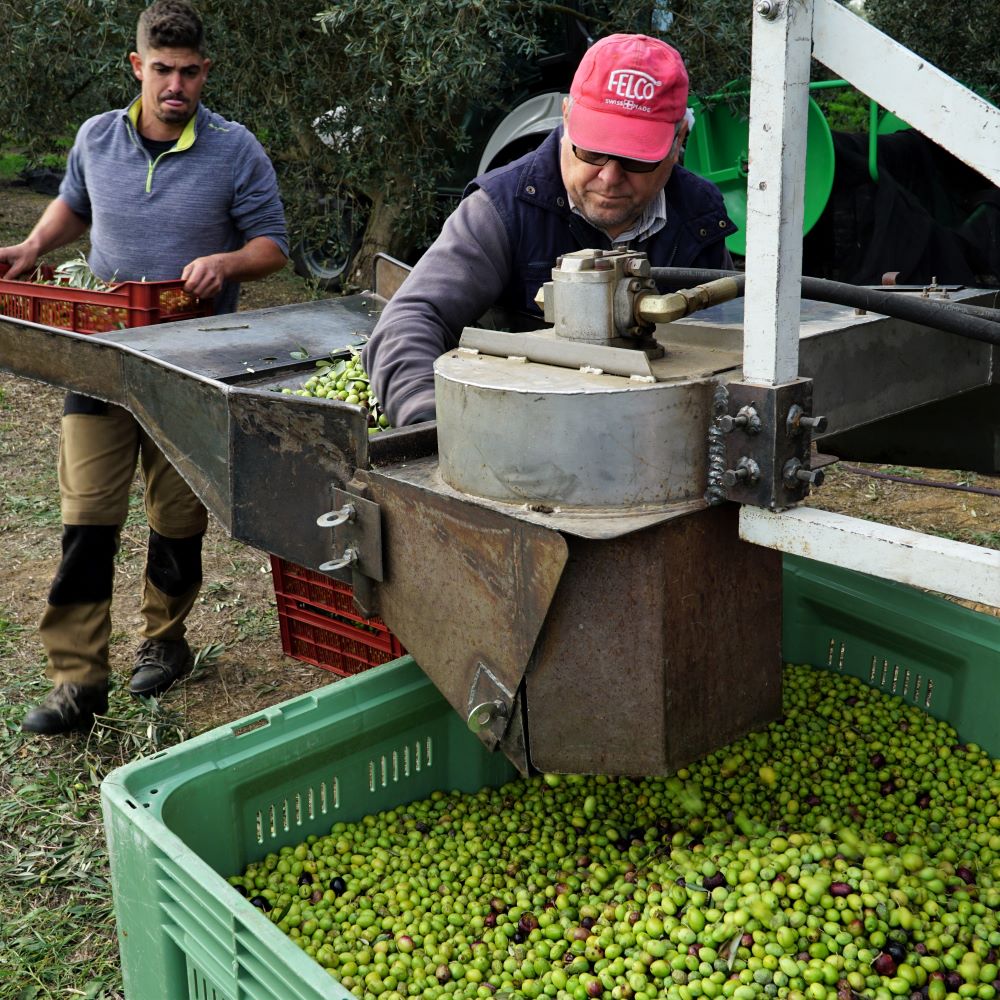 soufflage de la récolte