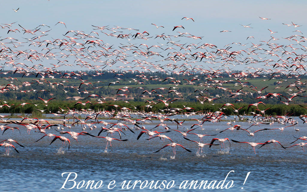 Voir Plus poursuit son ancrage en Petite Camargue