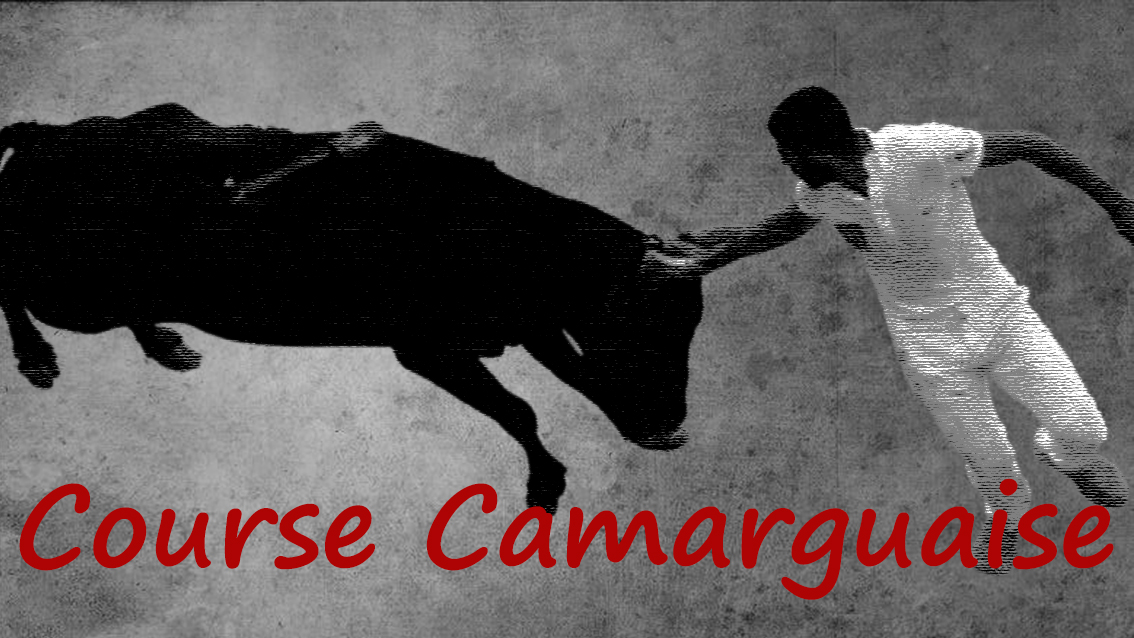 Course Camarguaise : le nouveau comité directeur élu