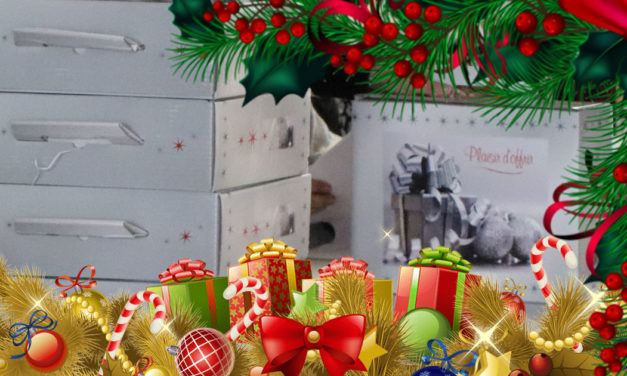 Vauvert : distribution des colis de Noël aux aînés