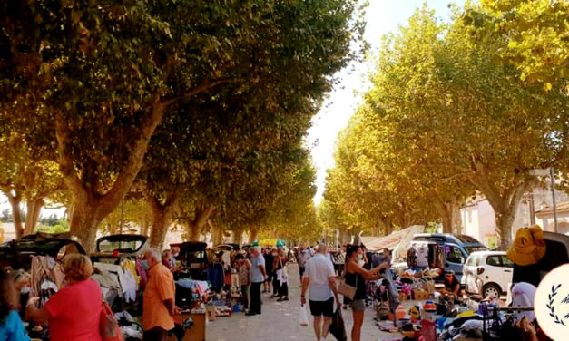 Les puces reviennent à Aimargues !