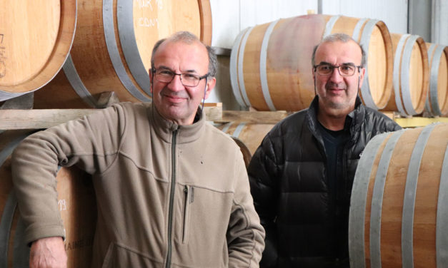 Le domaine du Mas Virgile, bien 40 ans et bientôt en bio