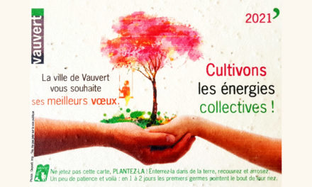 Vœux : De jolis coquelicots pour l’espoir du renouveau