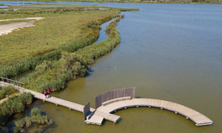 Saison 2021 de La Marette – Maison du Grand Site de France de la Camargue Gardoise