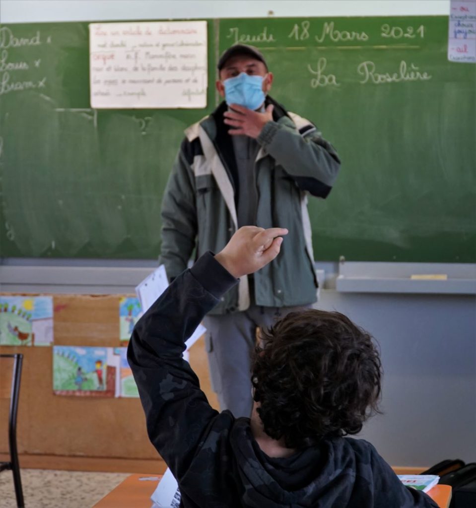 Découverte des oiseaux en classe