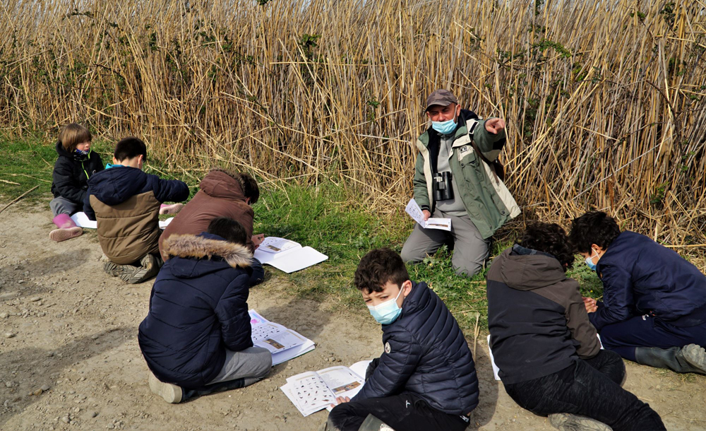 Observation sur le terrain