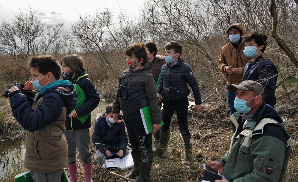 Observation sur le terrain