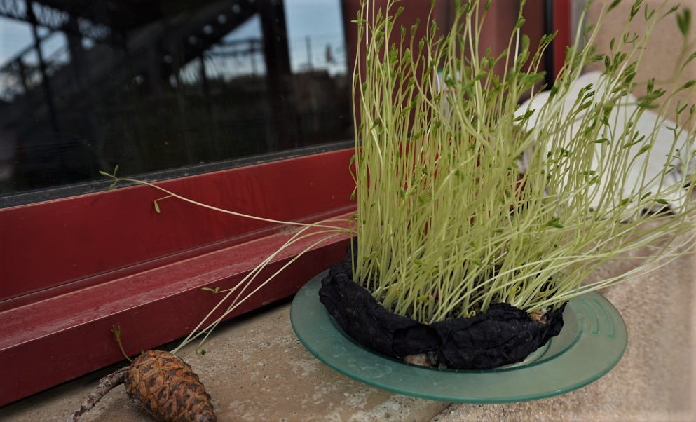 La grande lessive à la crèche