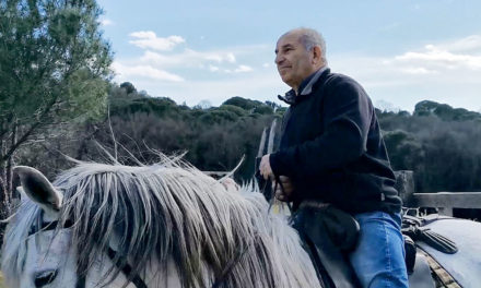 Manadier, gardians, chevaux et taureaux attendent la reprise