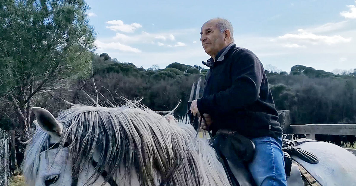 Manadier, gardians, chevaux et taureaux attendent la reprise