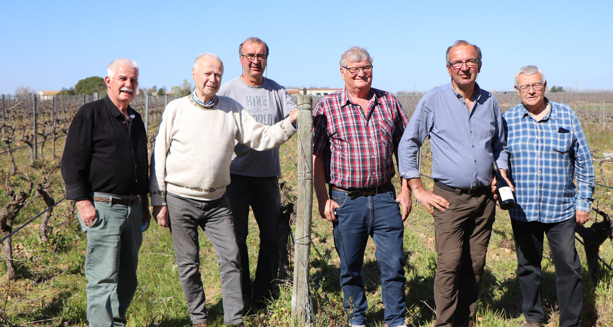 Des vignes nobles pour une manade noble