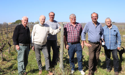 Des vignes nobles pour une manade noble