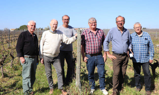 Des vignes nobles pour une manade noble