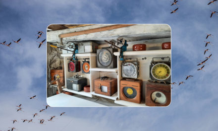 Le Cailar : Le musée du pigeon voyageur devient réalité