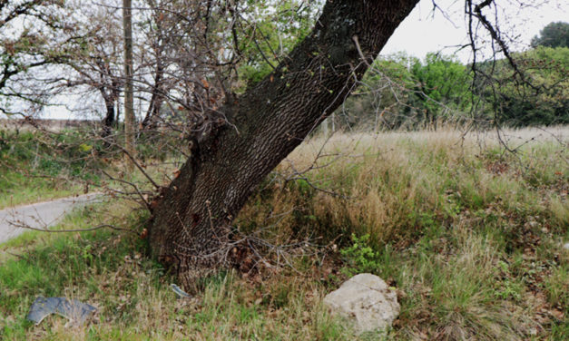 Dimanche 2 mai, Nettoyons la nature
