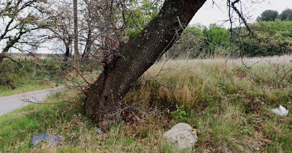 Dimanche 2 mai, Nettoyons la nature